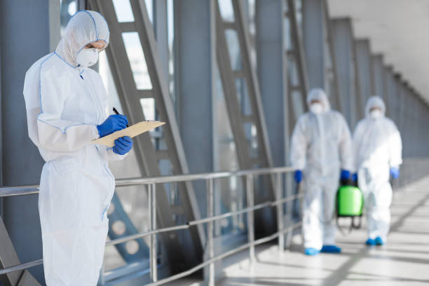 Best Emergency Mold Remediation  in Due West, SC