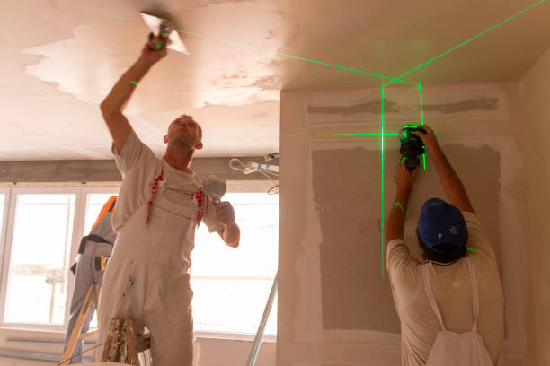 Best Attic Mold Removal  in Due West, SC