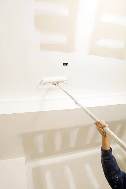 Best Basement Mold Removal  in Due West, SC