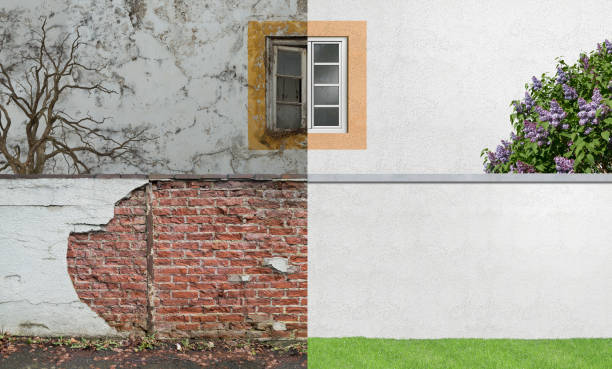 Best Mold Remediation for Healthcare Facilities  in Due West, SC
