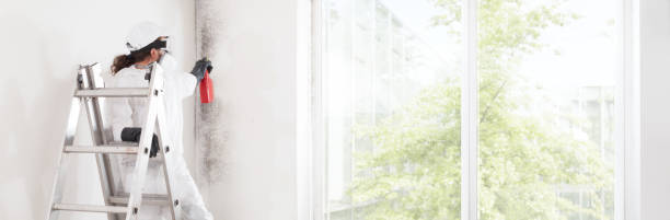 Best Indoor Air Quality Assessment  in Due West, SC