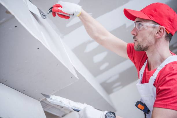 Best Mold Damage Restoration  in Due West, SC